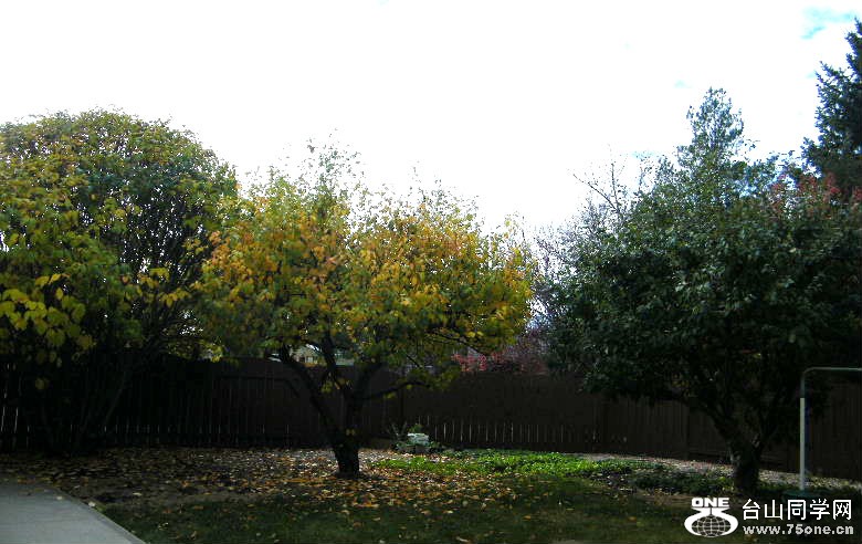 DSCF8850=.jpg