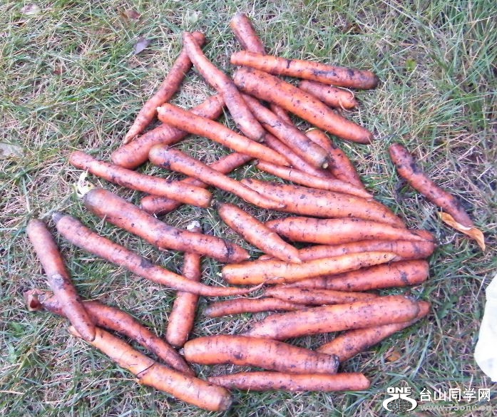 DSCF8813.JPG