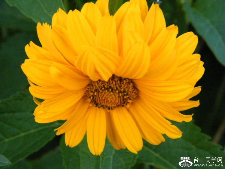 DSCF1679.JPG