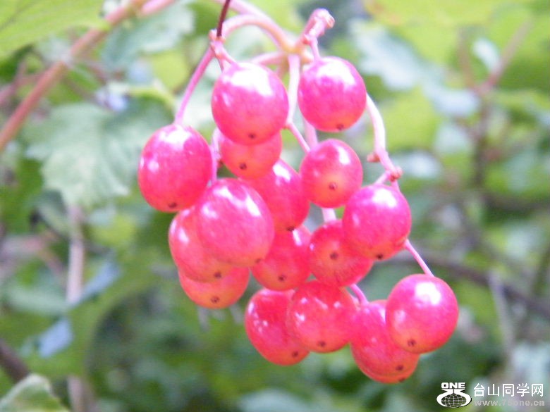 DSCF8415.JPG