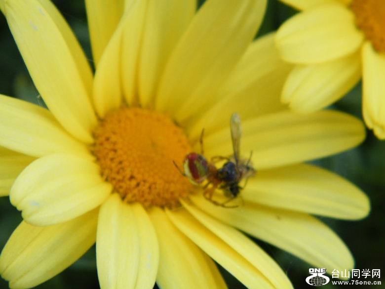 DSCF3919.JPG