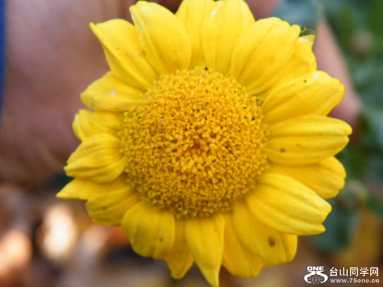 DSCF8646.JPG
