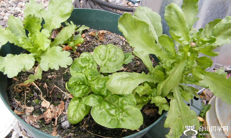 DSCF8751.JPG