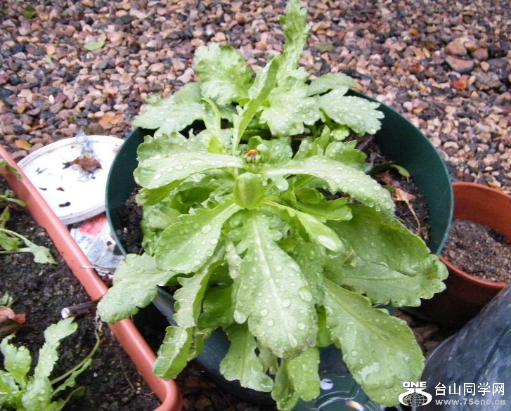 DSCF8814.JPG