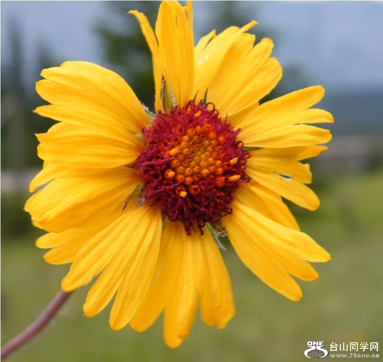 DSCF9967.JPG