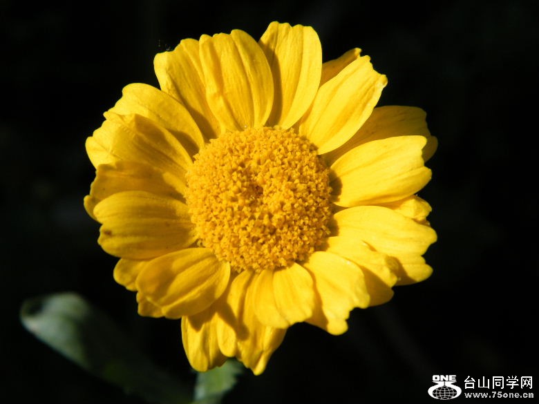 DSCF8651.JPG