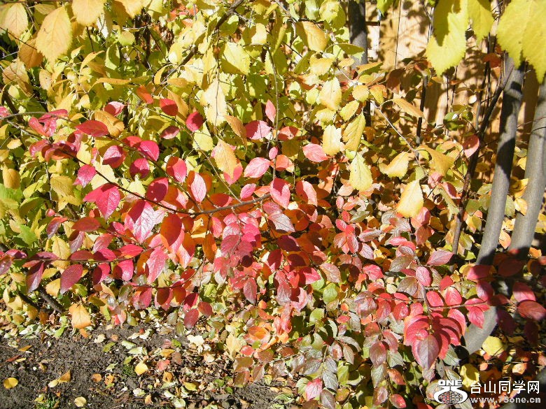 DSCF8918.JPG
