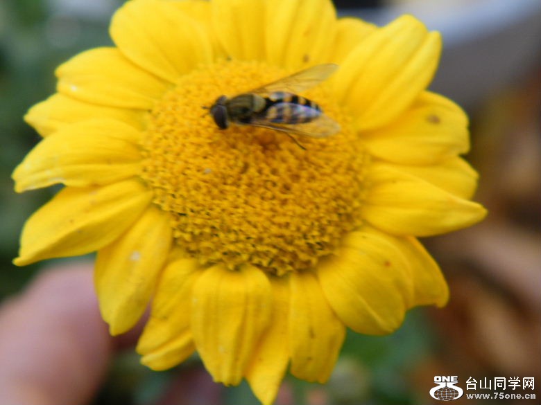 DSCF8645.JPG