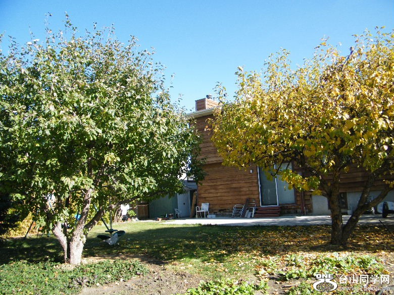 DSCF8917.JPG