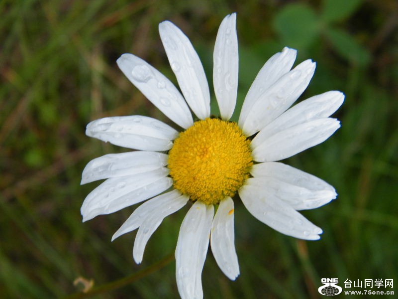 DSCF8917.JPG