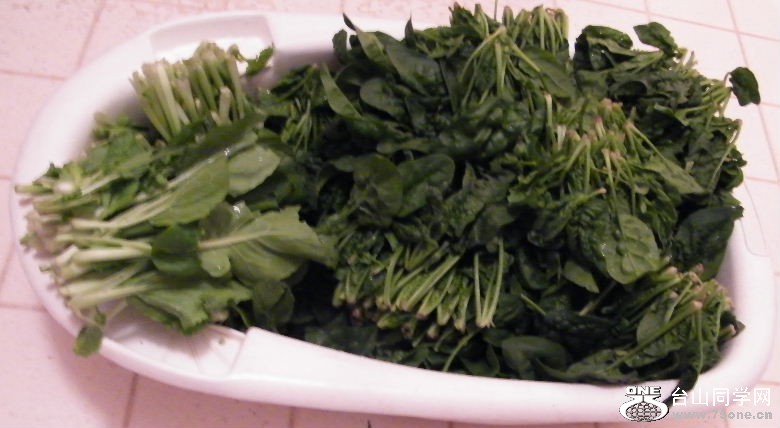 DSCF8807.JPG