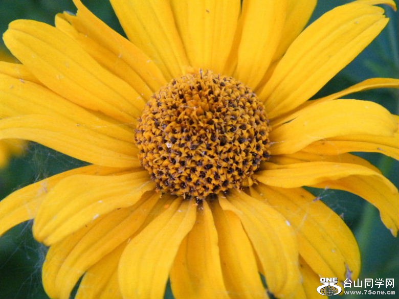 DSCF1680.JPG