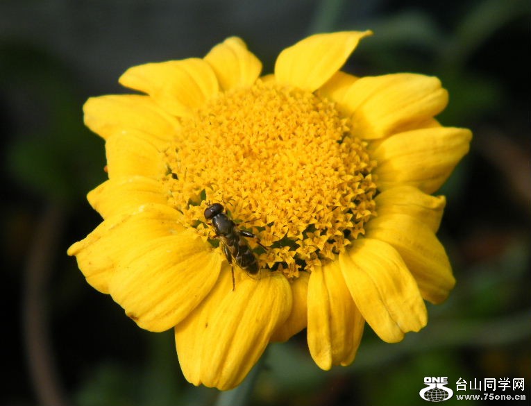 DSCF8749.JPG