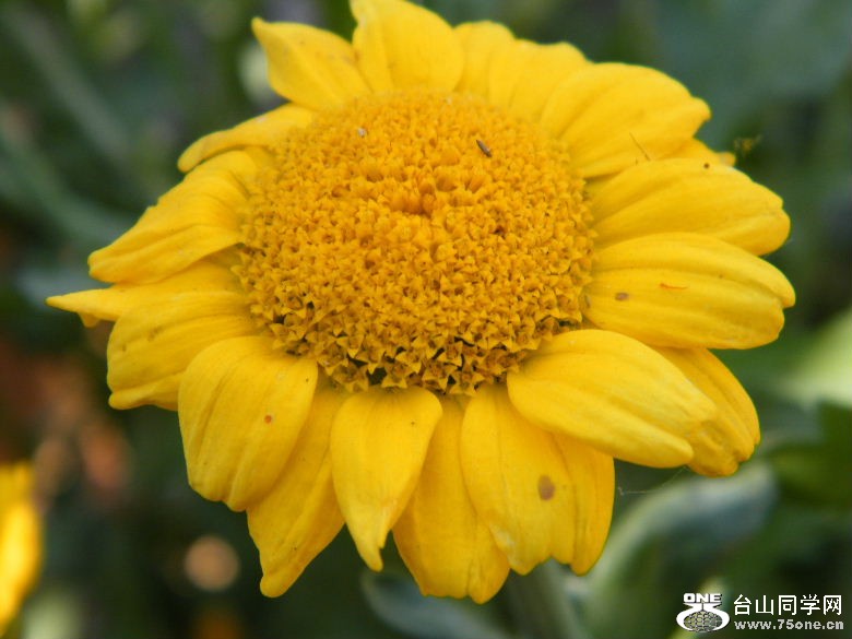 DSCF8647.JPG