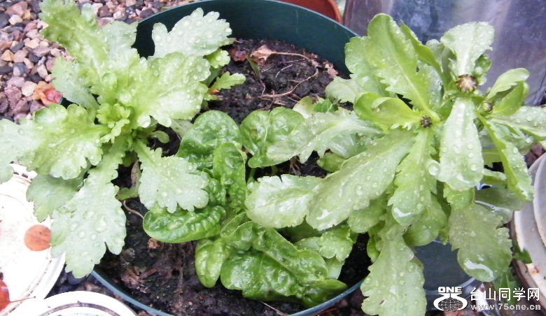 DSCF8815.JPG