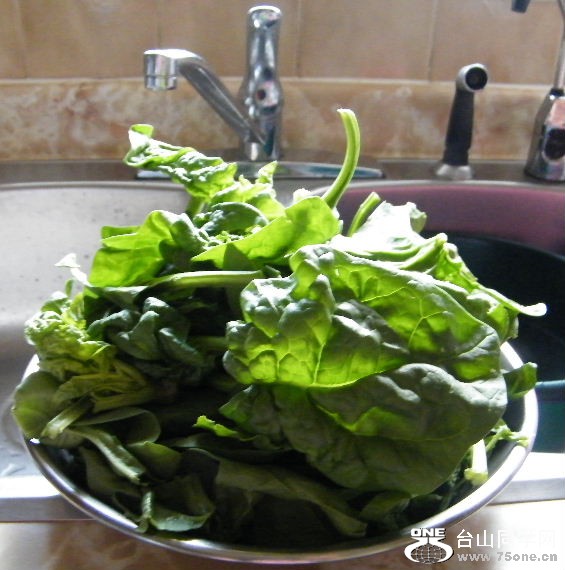 DSCF9171.JPG