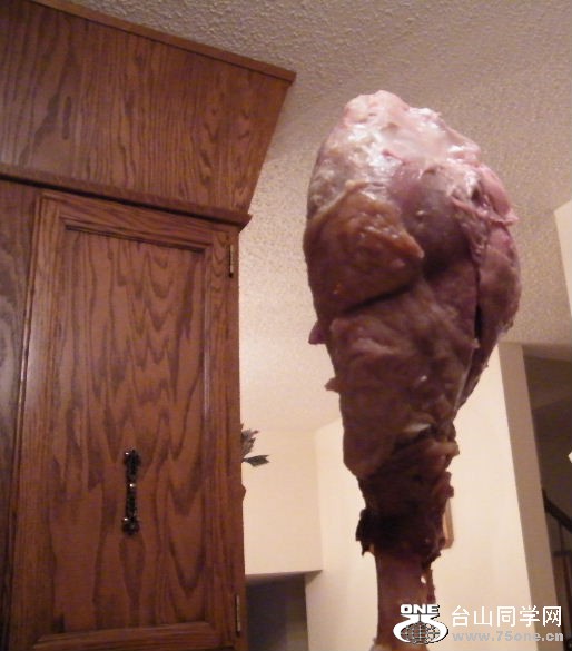 DSCF8797.JPG