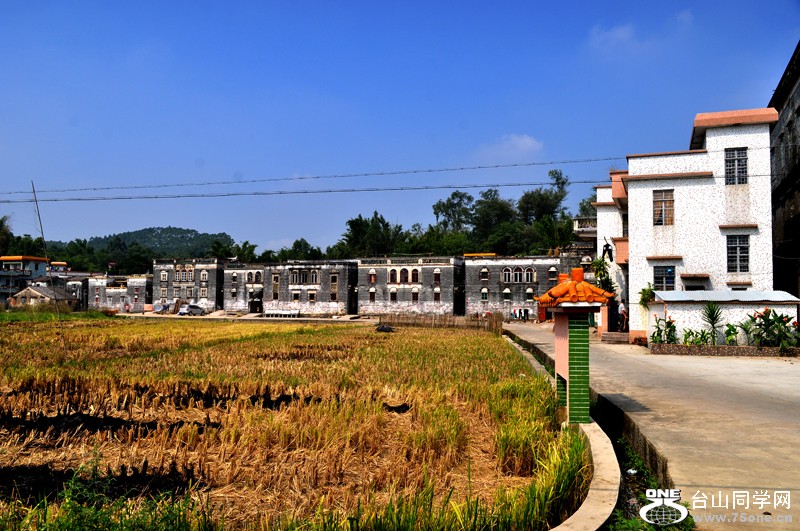 DSC_8903.jpg