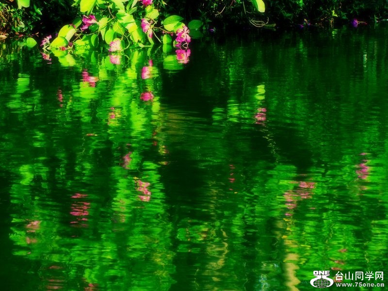 nEO_IMG_IMG_9919.jpg