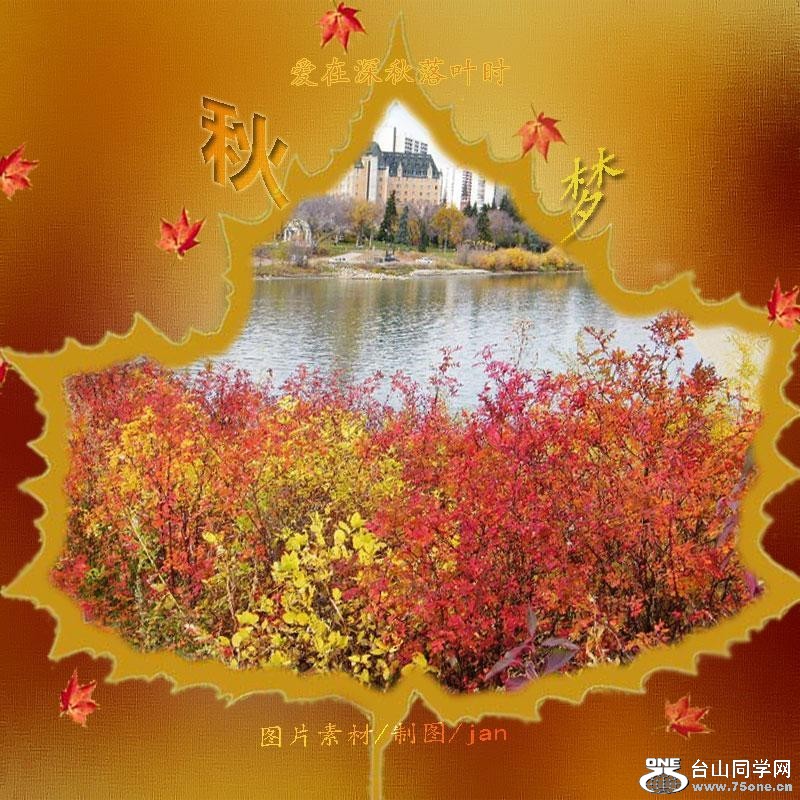 90_3812_3d29614493773b3-copy.jpg