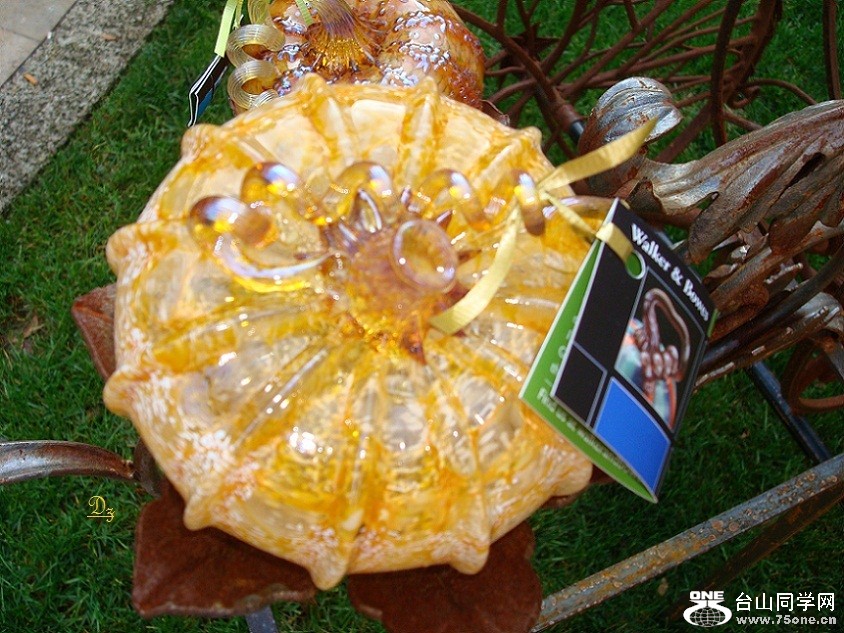 DSC00028-d.jpg