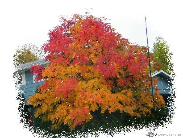 90_3812_29ab3fd01878fd7.jpg