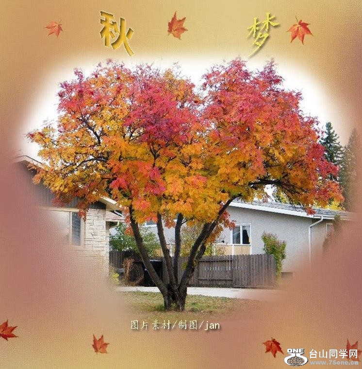 90_3812_e348984fbfc15e0-copy.jpg