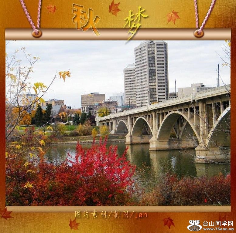 90_3812_e98d360efe4f44d.jpg