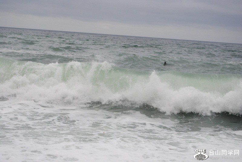 DSC_4730.JPG