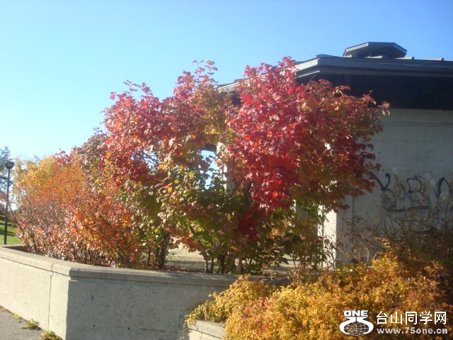 DSC01320.JPG