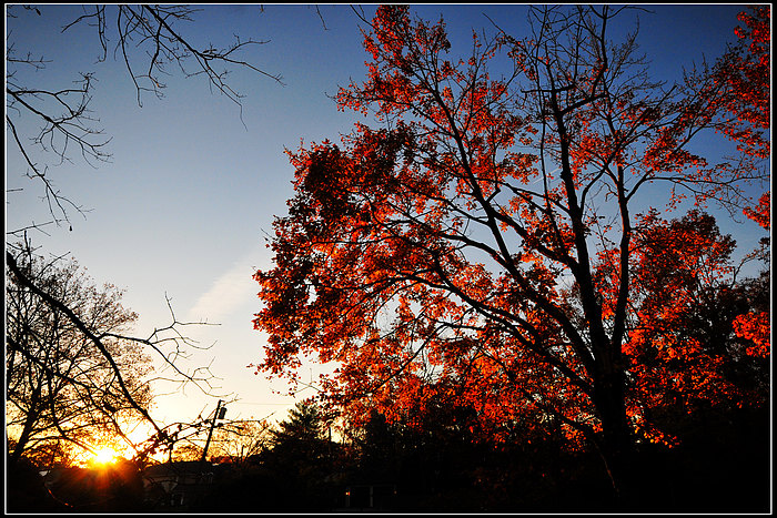 DSC_3704.JPG