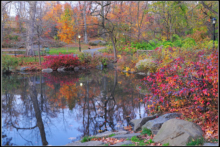 DSC_5212.JPG
