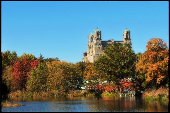 DSC_0598.JPG