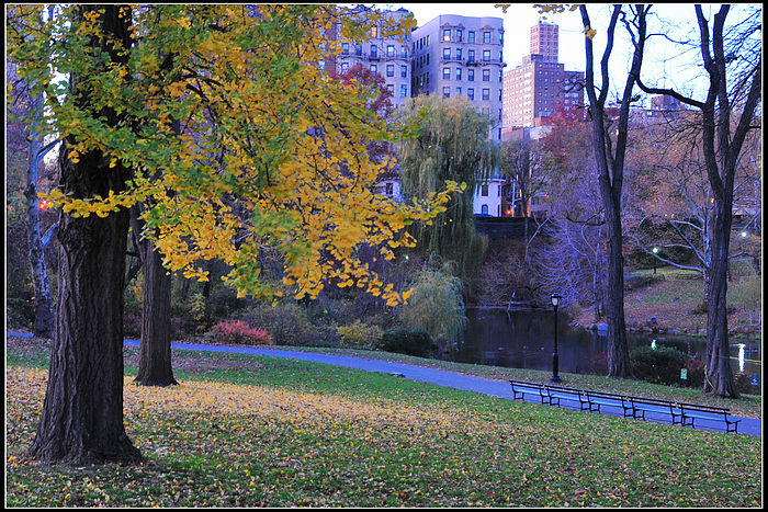 DSC_5226.JPG