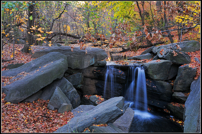 DSC_5086.JPG