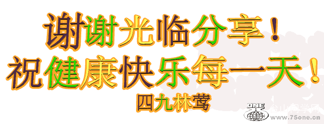9.gif