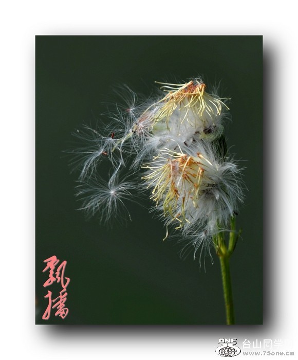 ��Ƭ 01021_conew1.jpg