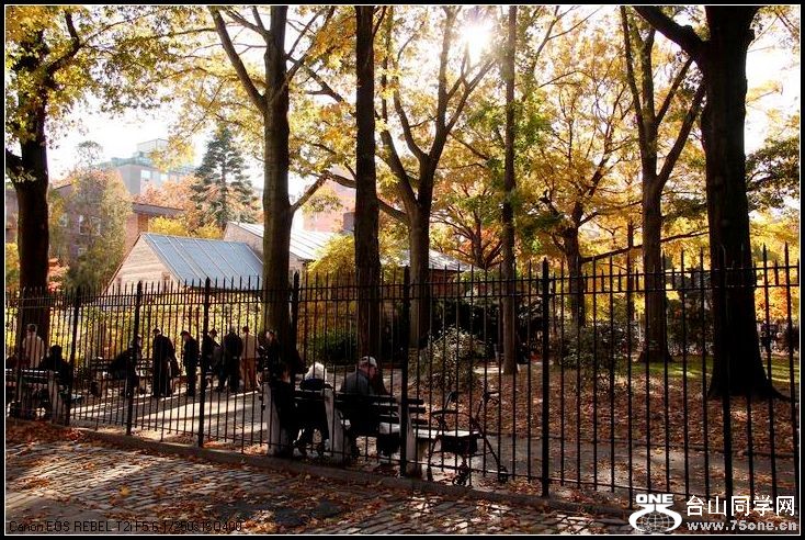 ������С IMG_9143.JPG