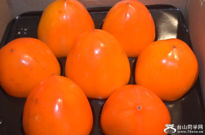 Thanksgiving 2011 033.jpg