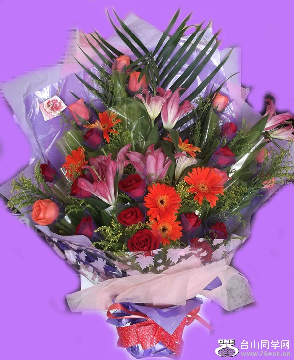 DSCF7596_.jpg