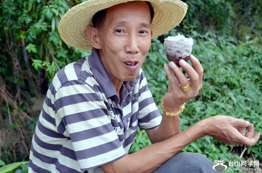 106.jpg