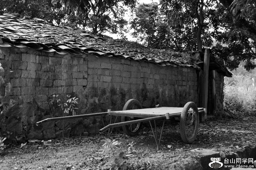 DSC_0104.jpg
