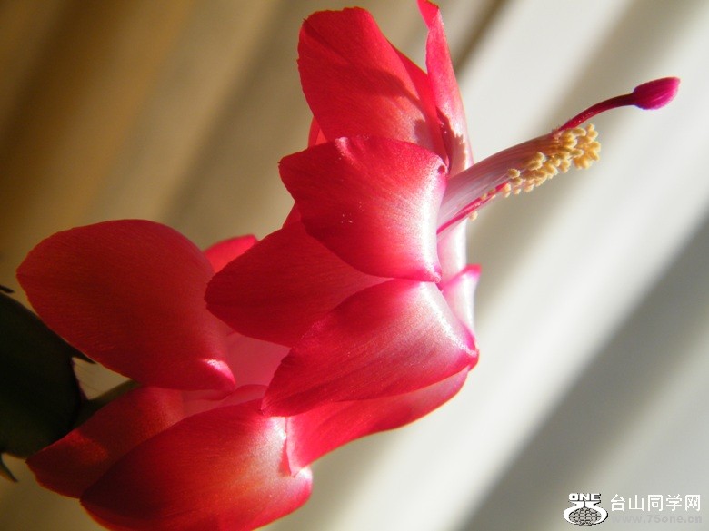 DSCF7354.JPG