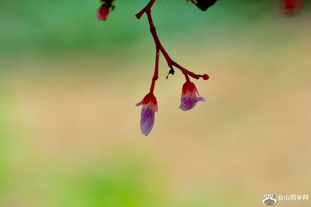 DSC_0045.JPG