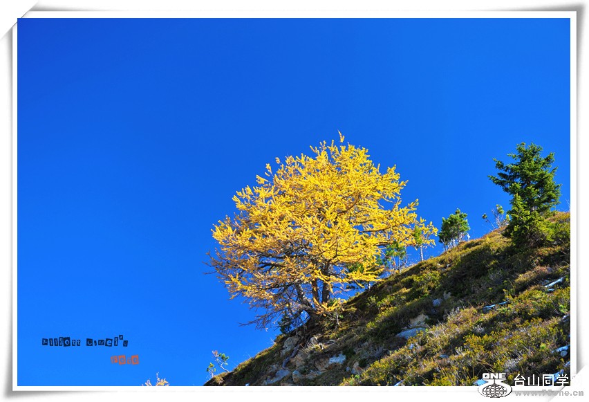 D3M_0462_.jpg