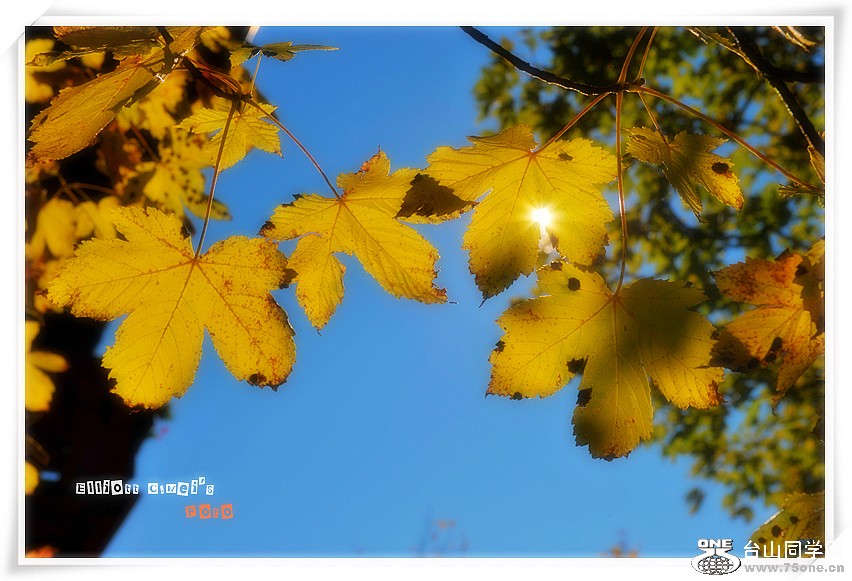 d3m_0622_.jpg