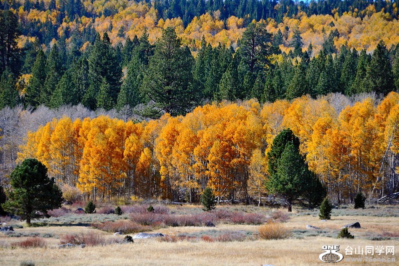 LakeTahoe1026201111721a.jpg