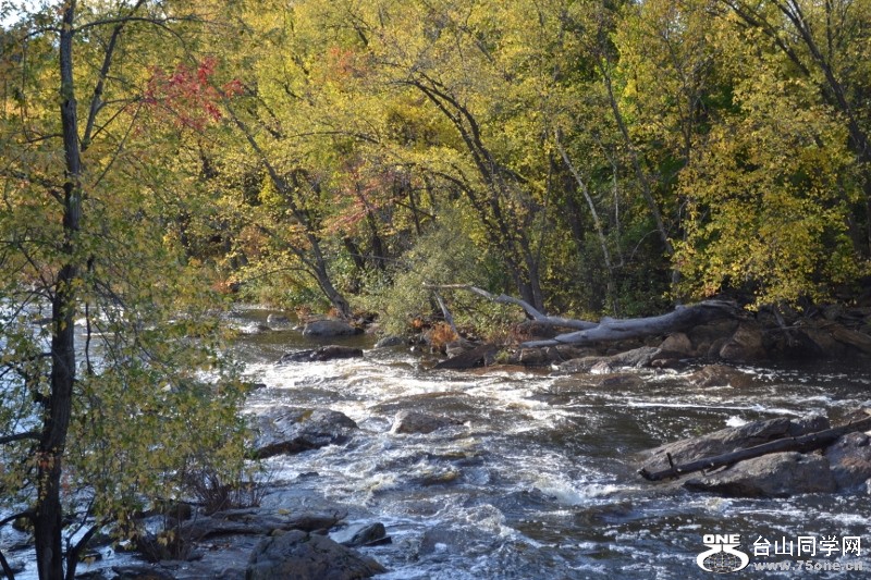 NH 2011-10-15 076 (800x533).jpg