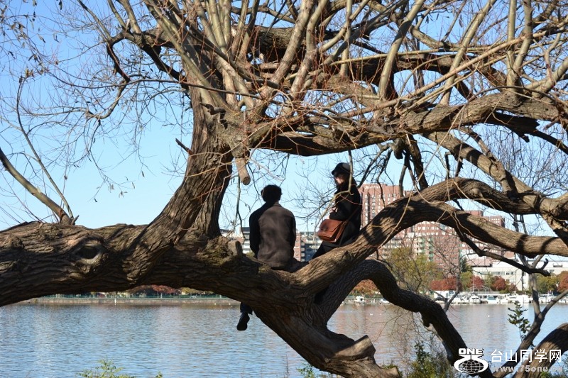 Charlest river 2011-11-05 045 (800x533).jpg