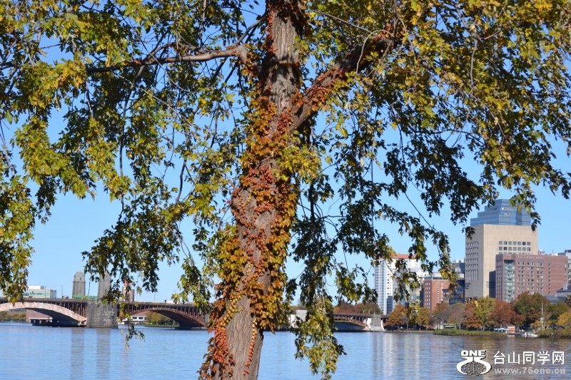 Charlest river 2011-11-05 068 (800x533).jpg